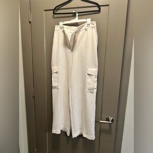 BRAND NEW Aritzia cargo pants. Size 10